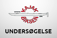 Undersøgelse